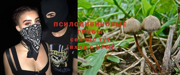 метамфетамин Белокуриха