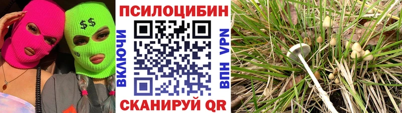 Псилоцибиновые грибы мухоморы  Надым 